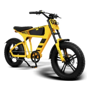 Bike Elétrica FT03 – 1.000W