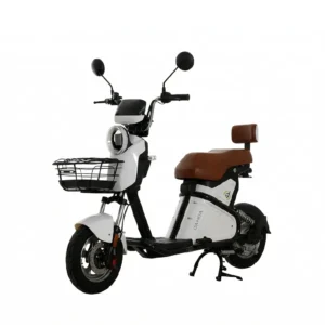 Scooter Elétrica WD2S