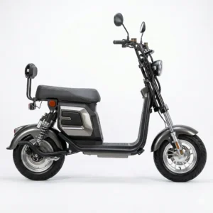 Scooter Elétrica WD6 – 1.000 W